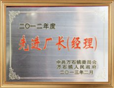科學(xué)廠長(zhǎng)（經(jīng)理）